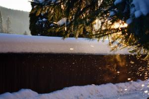 Fotografia a fost realizată lângă mănăstirea Putna, la sfârșitul lui decembrie 2019, cu un Nikon D5300. Mi-am dorit să suprind acest peisaj de iarnă deosebit datorat prezenței unor fenomene meteorologice (circulația maselor de aer, depunerea și împrăștierea precipitațiilor solide). Adierea vîntului făcea ca fulgii din zăpada proaspăt depusă pe crengile brazilor să se desprindă și să sclipească în razele Soarelui. 